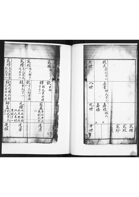 山东王氏-王氏族谱.pdf电子版预览图4