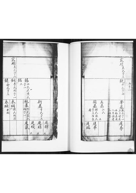 山东王氏-王氏族谱.pdf电子版预览图5