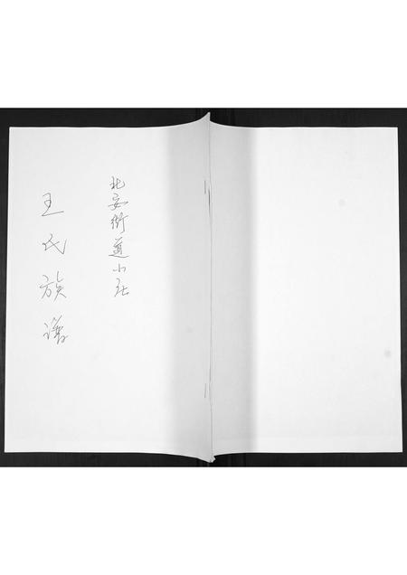 山东王氏-王氏族谱.pdf电子版缩略图