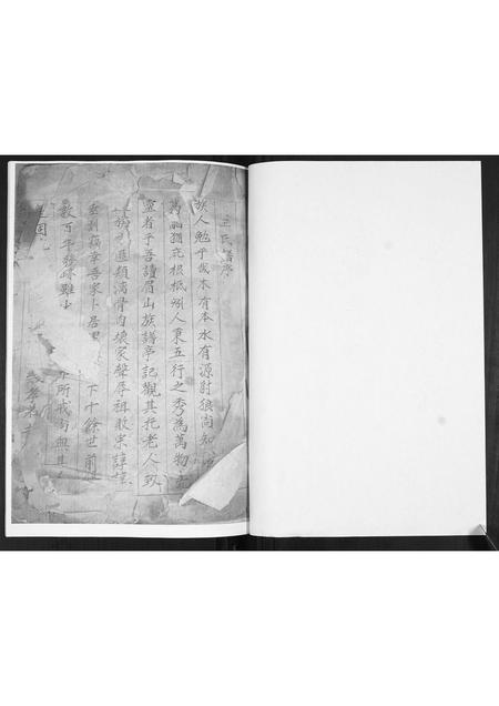 山东王氏-王氏族谱.pdf电子版预览图1