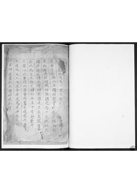 山东王氏-王氏族谱.pdf电子版预览图2