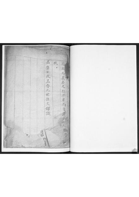 山东王氏-王氏族谱.pdf电子版预览图4