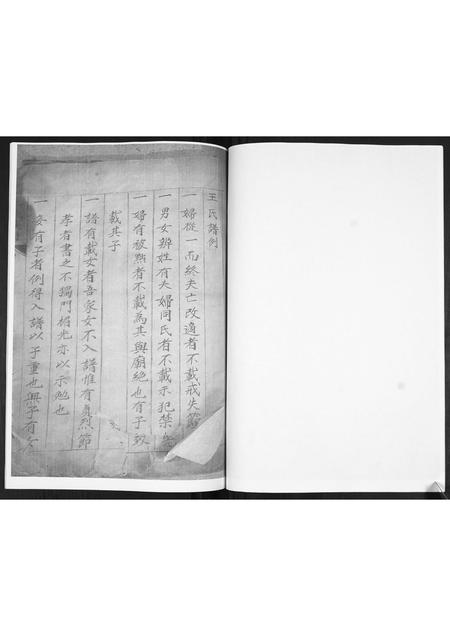 山东王氏-王氏族谱.pdf电子版预览图5