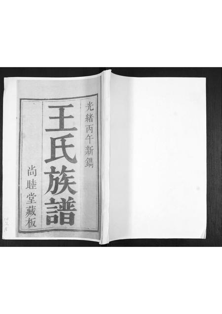 山东王氏-王氏族谱.pdf电子版缩略图