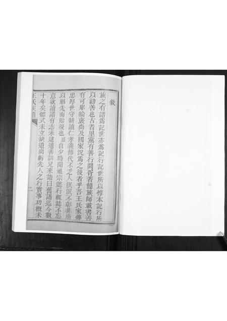 山东王氏-王氏族谱.pdf电子版预览图2