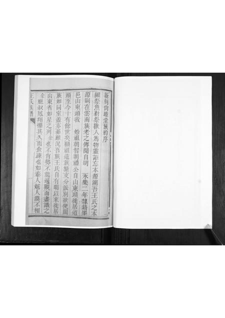 山东王氏-王氏族谱.pdf电子版预览图4