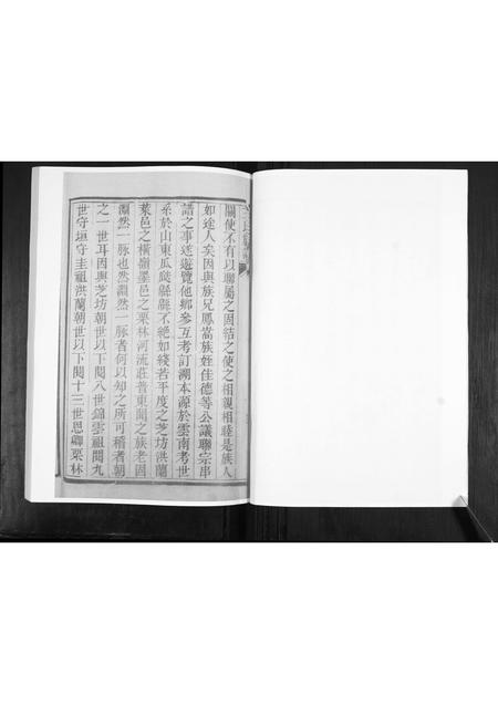 山东王氏-王氏族谱.pdf电子版预览图5