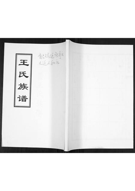 山东王氏-王氏族谱.pdf电子版缩略图