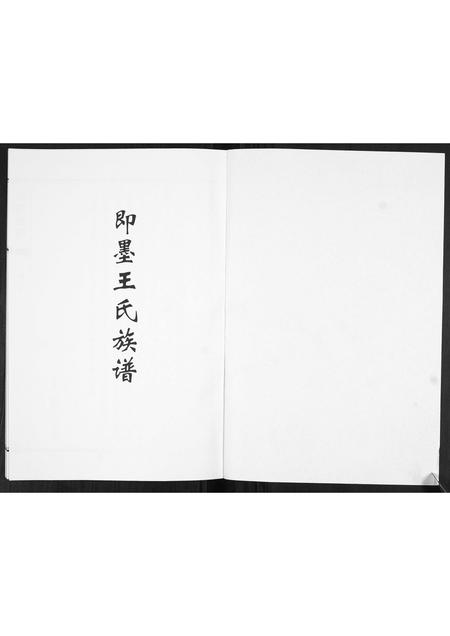 山东王氏-王氏族谱.pdf电子版预览图1