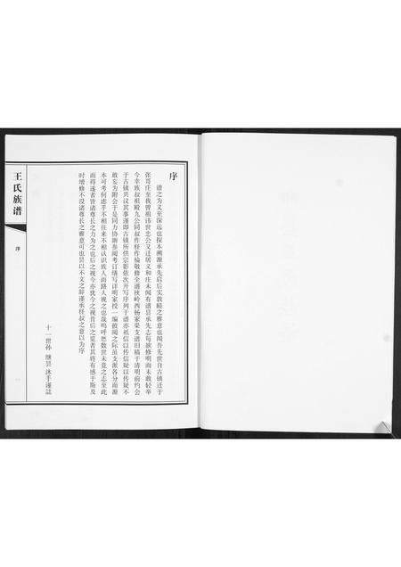 山东王氏-王氏族谱.pdf电子版预览图2