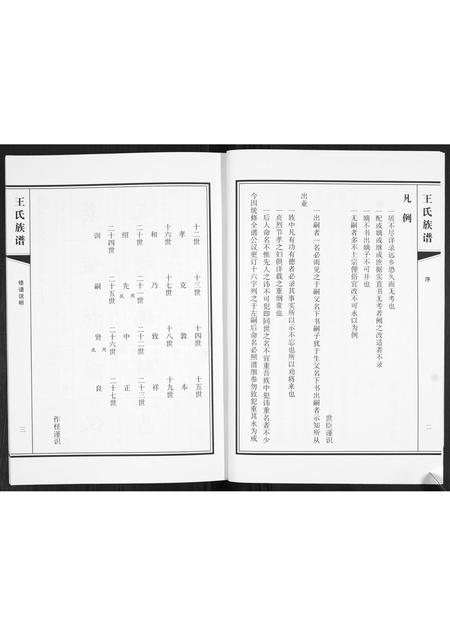 山东王氏-王氏族谱.pdf电子版预览图3