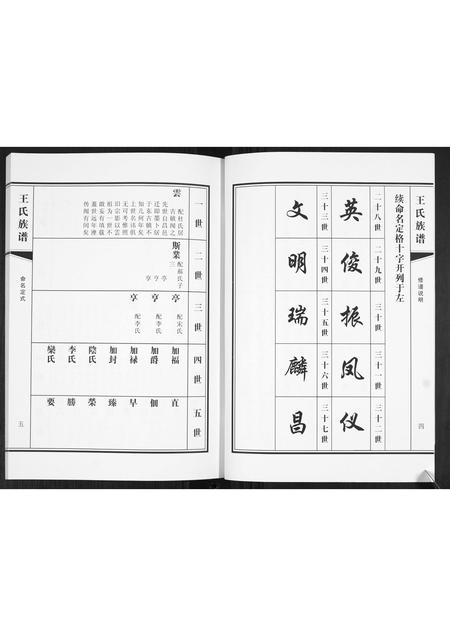 山东王氏-王氏族谱.pdf电子版预览图4