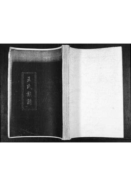 山东王氏-王氏族谱.pdf电子版缩略图