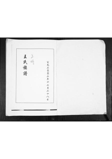 山东王氏-王氏族谱.pdf电子版预览图1