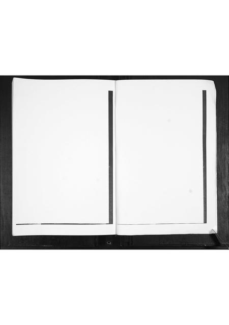 山东王氏-王氏族谱.pdf电子版预览图3