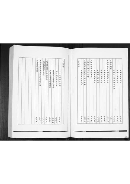 山东王氏-王氏族谱.pdf电子版预览图5