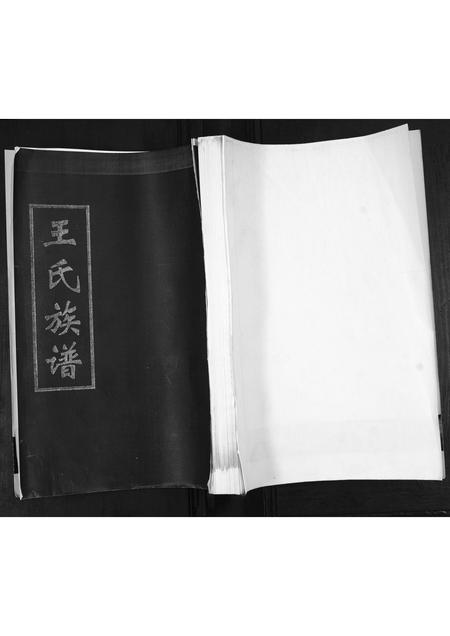 山东王氏-王氏族谱.pdf电子版缩略图