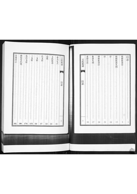 山东王氏-王氏族谱.pdf电子版预览图3