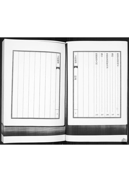 山东王氏-王氏族谱.pdf电子版预览图4