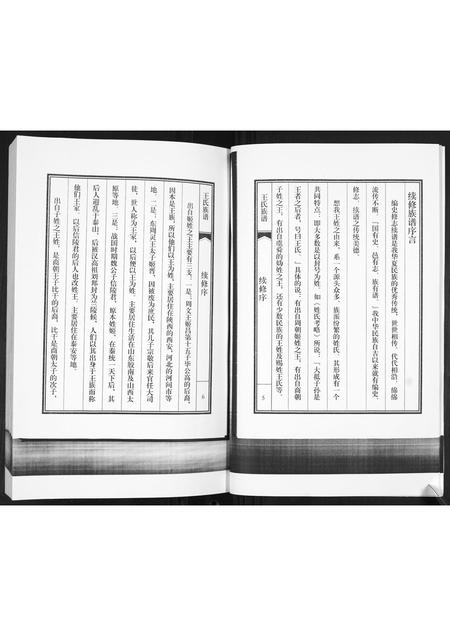 山东王氏-王氏族谱.pdf电子版预览图5