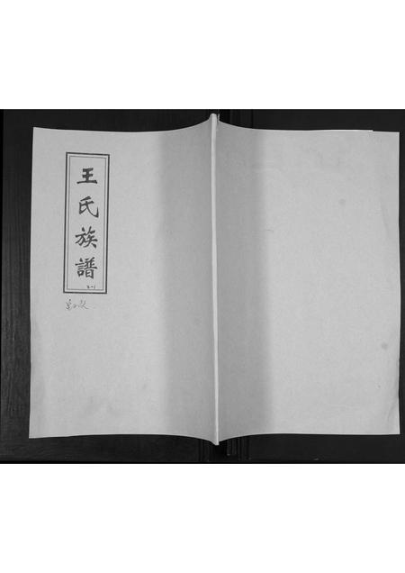 山东王氏-王氏族谱.pdf电子版缩略图