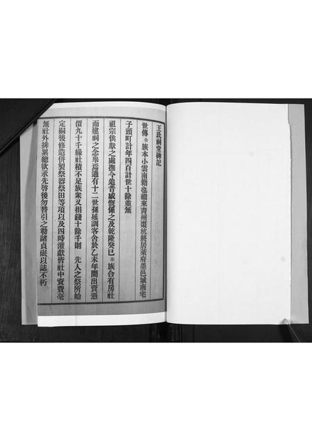 山东王氏-王氏族谱.pdf电子版预览图4