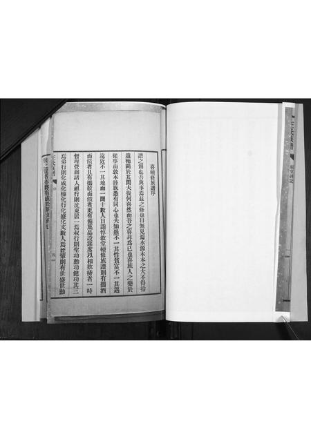 山东王氏-王氏族谱.pdf电子版预览图5