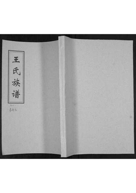 山东王氏-王氏族谱.pdf电子版缩略图