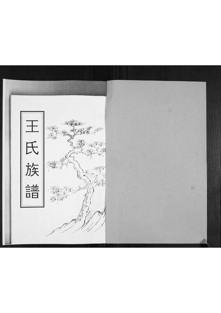 山东王氏-王氏族谱.pdf电子版预览图1