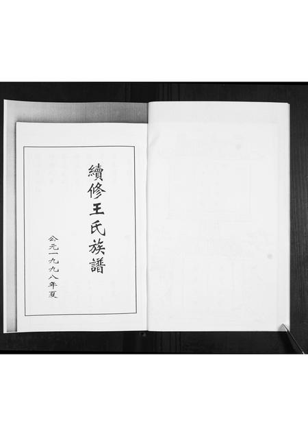 山东王氏-王氏族谱.pdf电子版预览图3