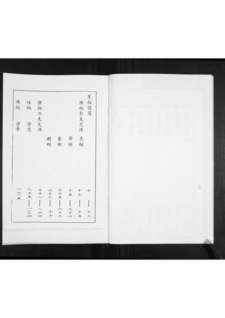 山东王氏-王氏族谱.pdf电子版预览图5