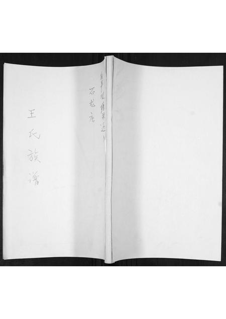 山东王氏-王氏族谱.pdf电子版缩略图