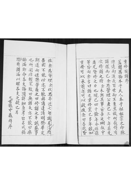 山东王氏-王氏族谱.pdf电子版预览图1