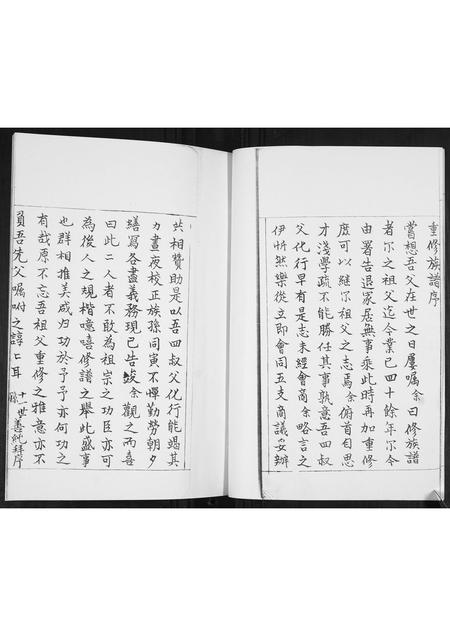 山东王氏-王氏族谱.pdf电子版预览图2