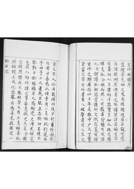 山东王氏-王氏族谱.pdf电子版预览图4