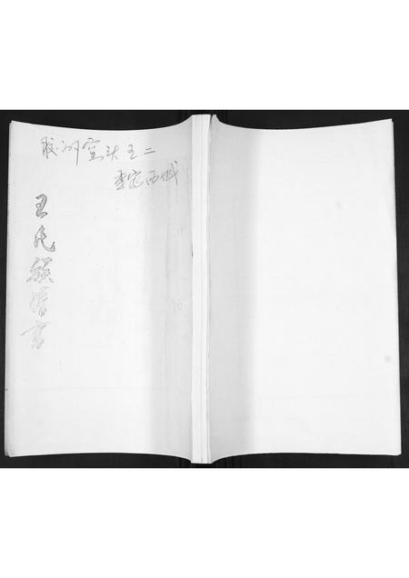 山东王氏-王氏族谱.pdf电子版缩略图