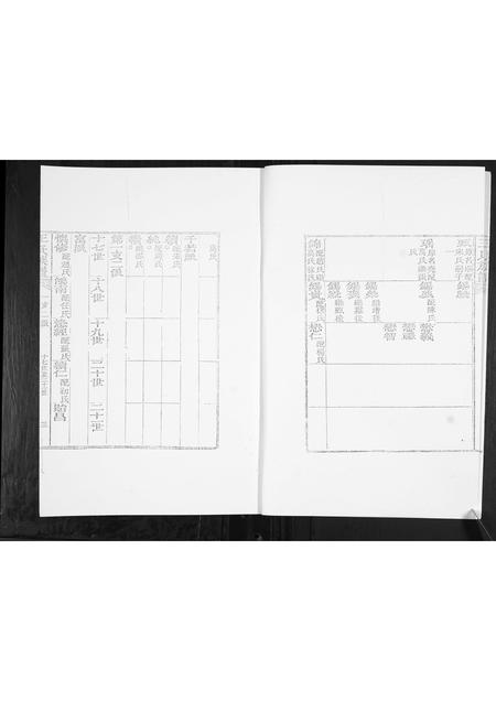 山东王氏-王氏族谱.pdf电子版预览图3