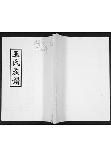 山东王氏-王氏族谱.pdf电子版缩略图