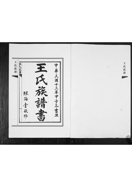山东王氏-王氏族谱.pdf电子版预览图1