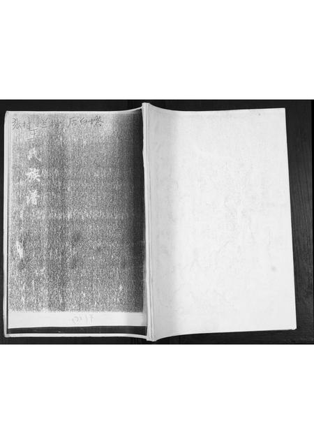 山东王氏-王氏族谱.pdf电子版缩略图