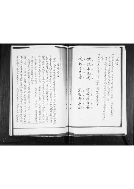 山东王氏-王氏族谱.pdf电子版预览图2