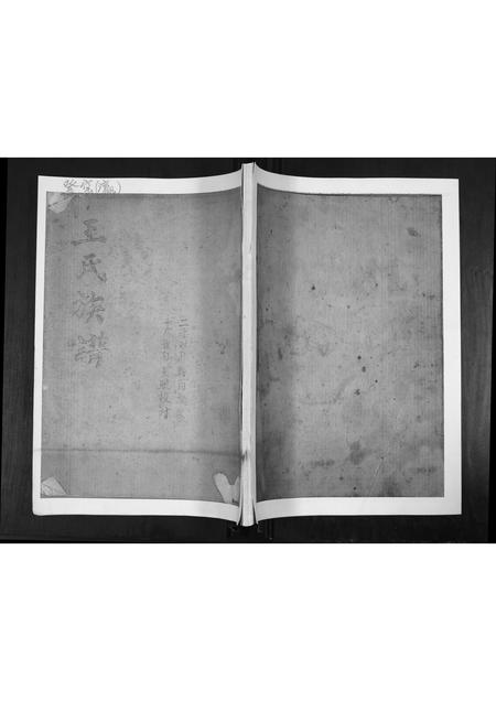 山东王氏-王氏族谱.pdf电子版缩略图