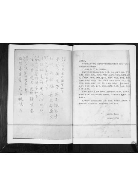 山东王氏-王氏族谱.pdf电子版预览图4