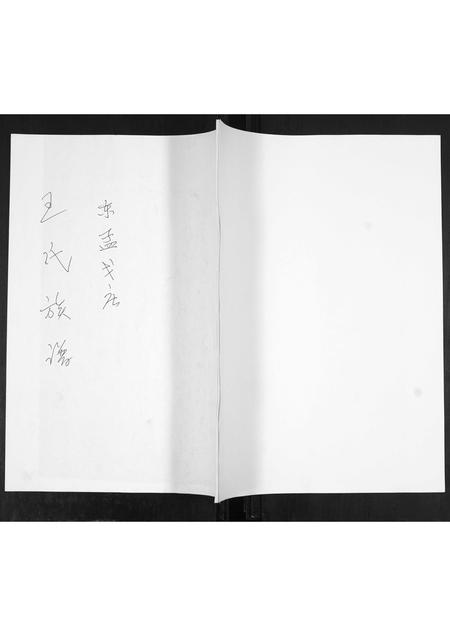 山东王氏-王氏族谱.pdf电子版缩略图