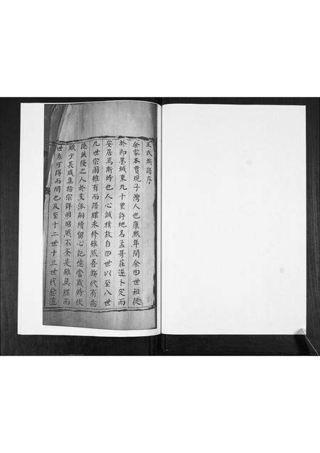 山东王氏-王氏族谱.pdf电子版预览图1