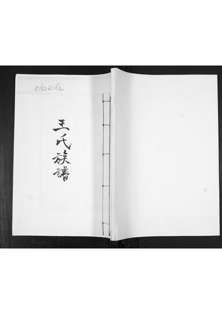 山东王氏-王氏族谱.pdf电子版缩略图