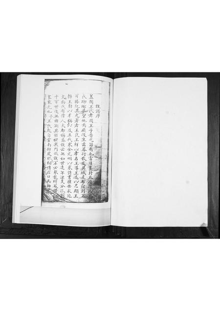 山东王氏-王氏族谱.pdf电子版预览图1