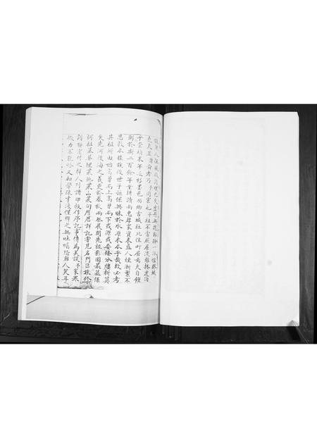 山东王氏-王氏族谱.pdf电子版预览图2