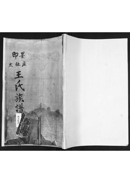 山东王氏-王氏族谱.pdf电子版缩略图