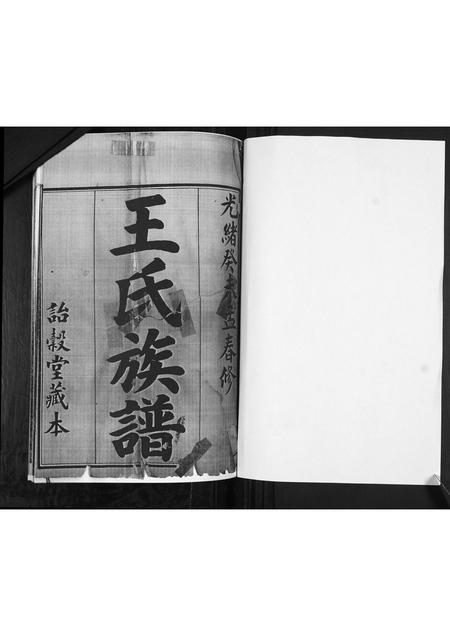 山东王氏-王氏族谱.pdf电子版预览图1